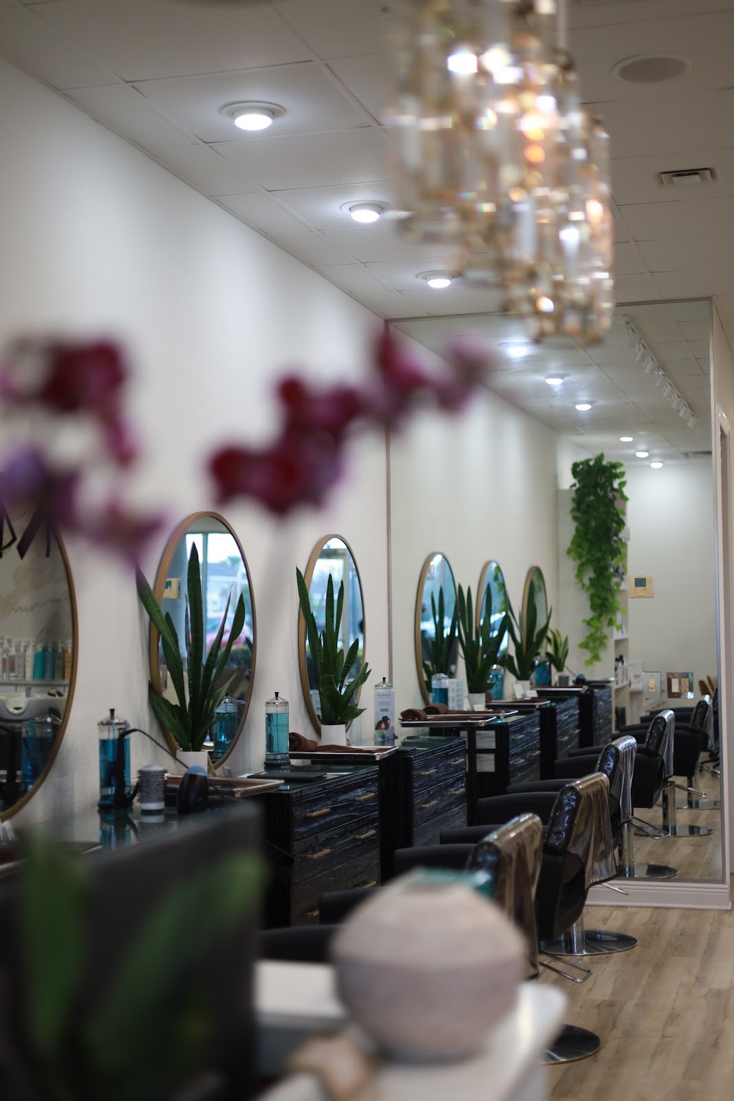 Interior of Musart Salon with a row of round gold-framed mirrors, styling stations and a crystal chandelier